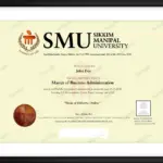 sikkim manipal university sample certificate