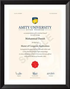 Amity University MCA Sample Certificate