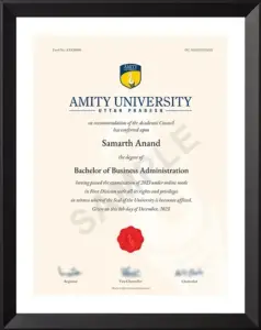 Amity University BBA Sample Certificate